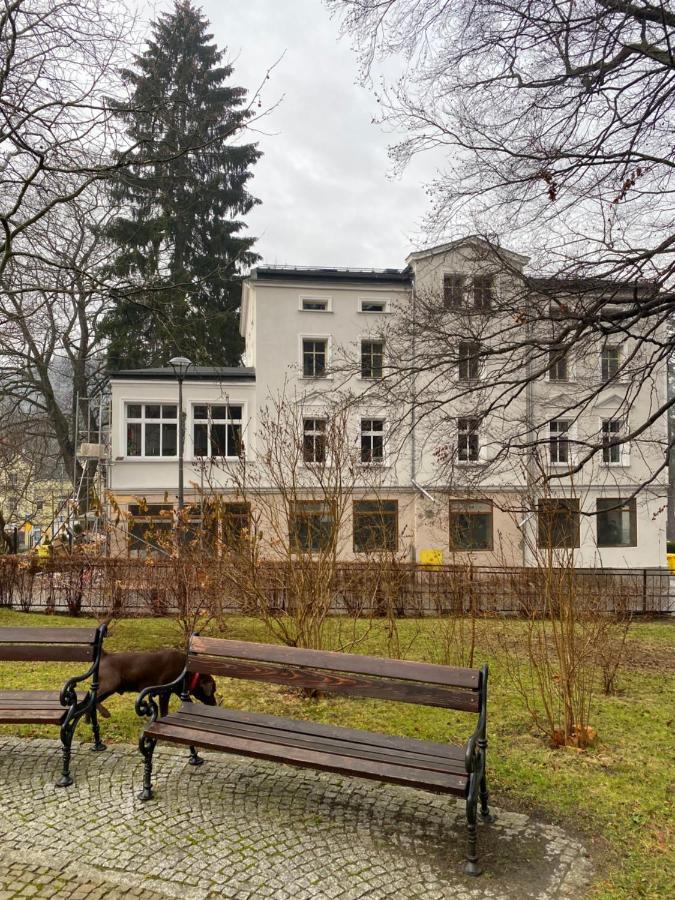 Cienista 7 Apartments Lądek-Zdrój Kültér fotó