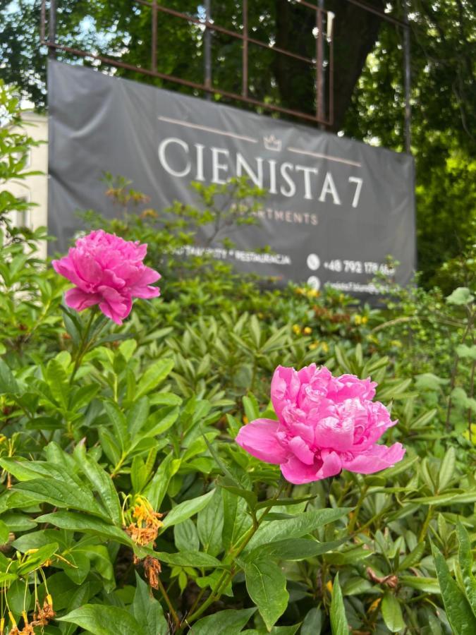 Cienista 7 Apartments Lądek-Zdrój Kültér fotó